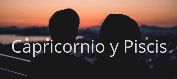 Capricornio Y Piscis: Amor, Compatibilidad De Pareja En 2021