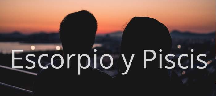 Escorpio Y Piscis Amor Compatibilidad De Pareja En 2021 